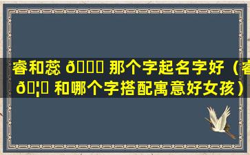 睿和蕊 🐛 那个字起名字好（睿 🦈 和哪个字搭配寓意好女孩）